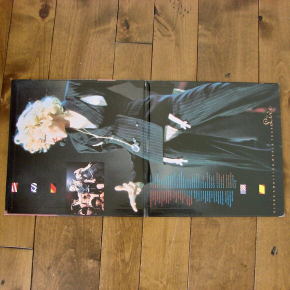 Madonna Blond Ambition World Tour Live Laserdisc 1990 Excellent!!! - Picture 2 of 12